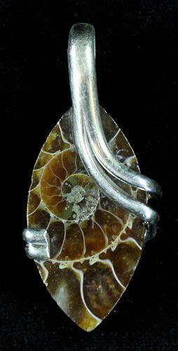 Ammonite Fossil Pendant - Sterling Silver #21048